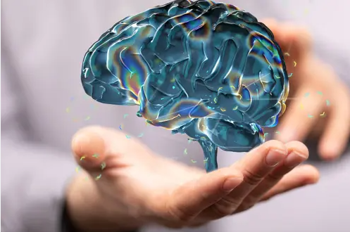 Neuroplastičnost