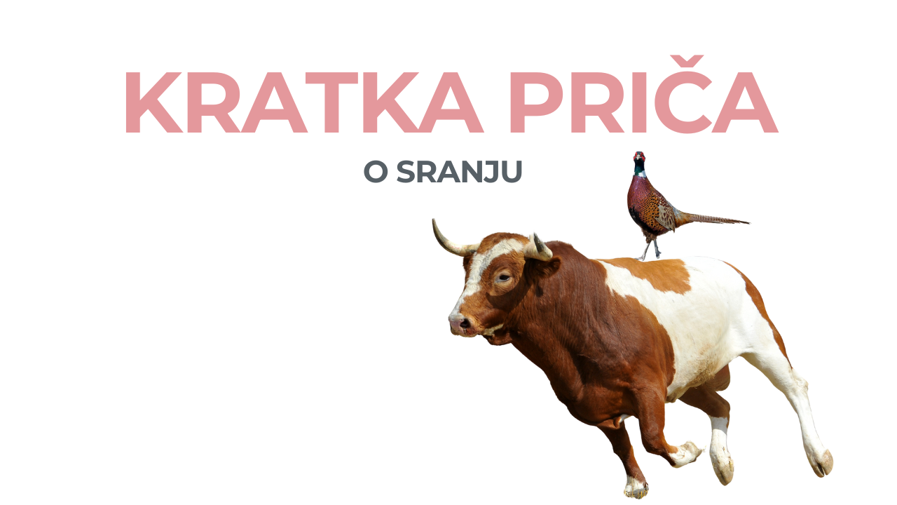 Kratka priča